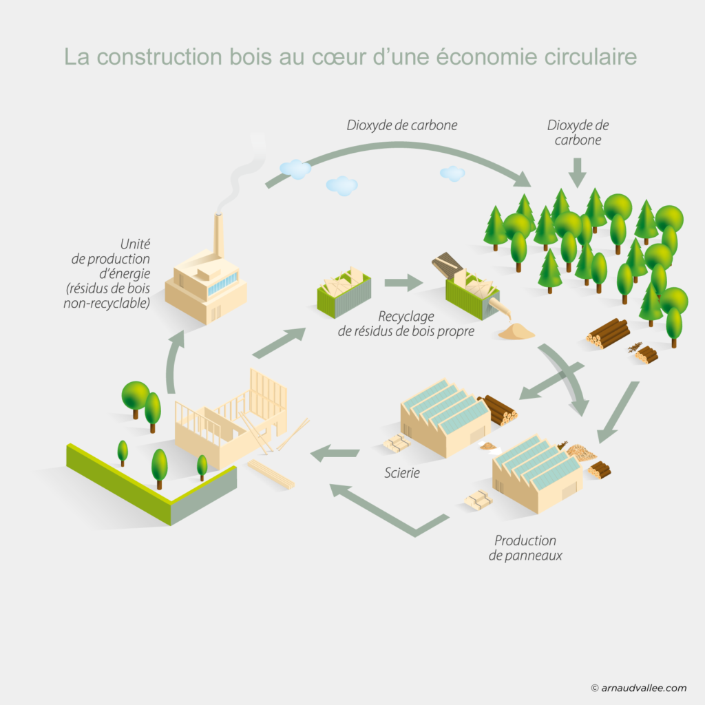 Construction bois Observatoire économique