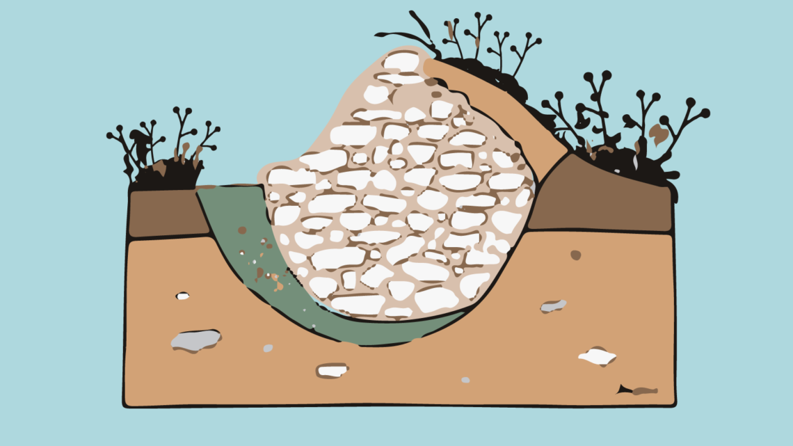 creer-des-oasis-pour-les-reptiles-biodiversite-lpo